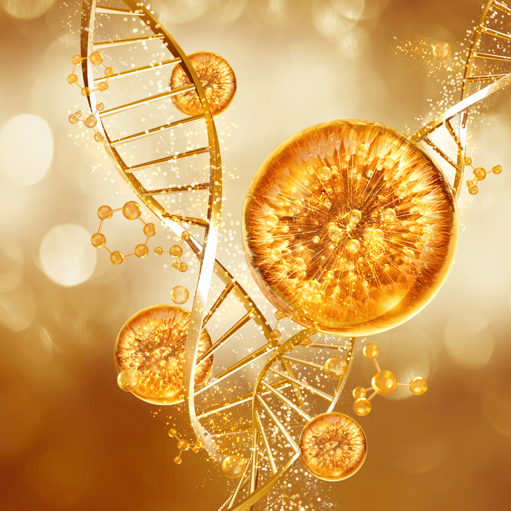 Gold DNA double helix and circular molecules on a blurred background LBM Defy - A Natural Acne Rescue Serum 30ml Natural Skincare Moisture Serum jc0f5b-4d.myshopify.com