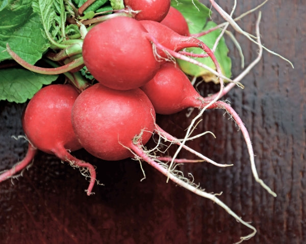 Lily Bee And Me Pty Ltd