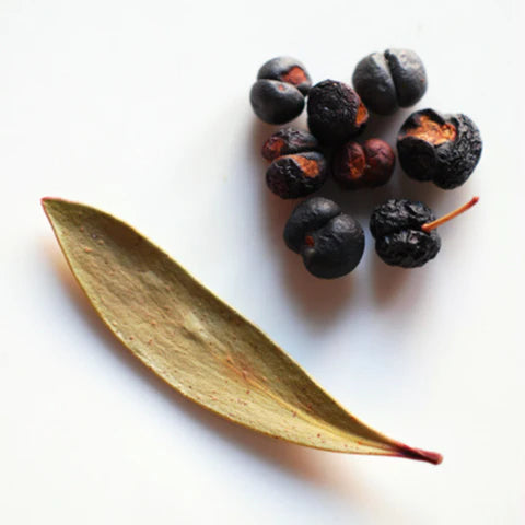 Mountain Pepper berry antioxidants - Lily Bee and Me