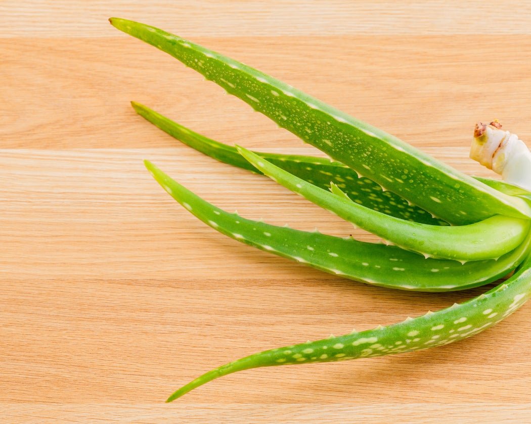 Sliced aloe vera on a wooden surface