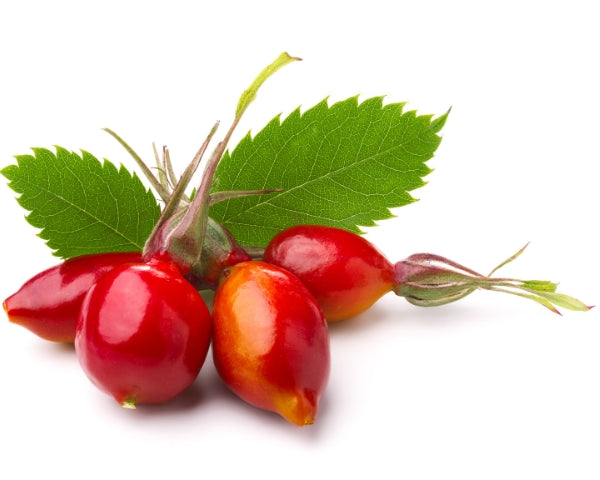 Rosehip - Lily Bee and me