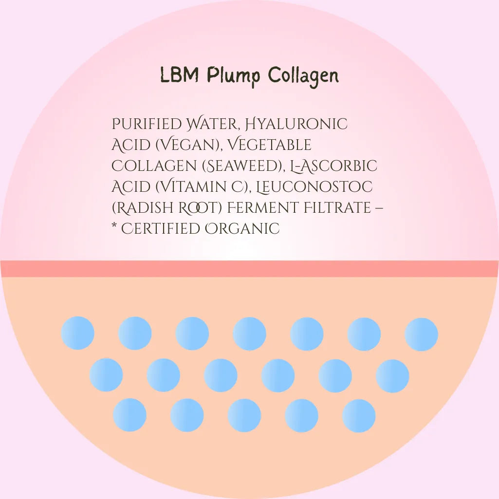 The LBM Natural Skincare Tester Set - Travel Size Face Serum - Lily Bee And Me Collagen Boost Age Support Set Face Skincare Pack jc0f5b-4d.myshopify.com